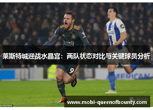 莱斯特城迎战水晶宫:两队状态对比与关键球员分析 莱斯特城迎战水晶宫:两队状态对比与关键球员分析