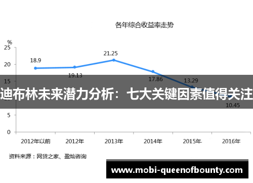 迪布林未来潜力分析：七大关键因素值得关注