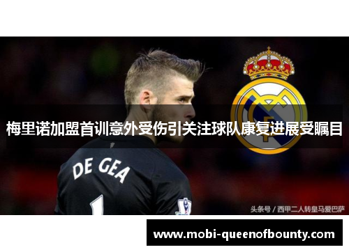 梅里诺加盟首训意外受伤引关注球队康复进展受瞩目